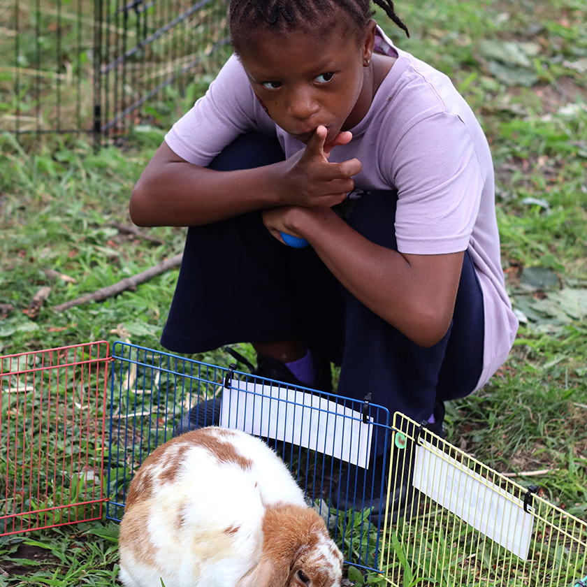 All Camp & Family Day participant sitting with a bunny.