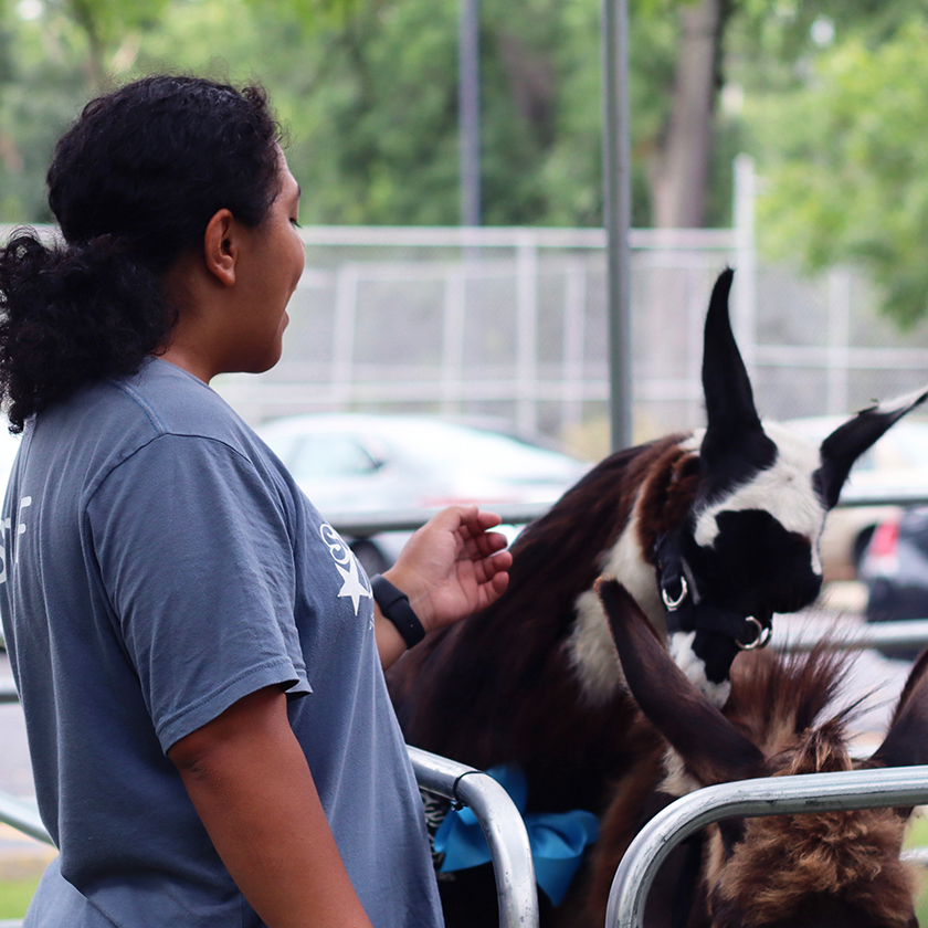 SSSRA intern at the All Camp & Family Day petting zoo.