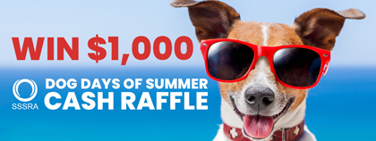 Brown and white dog wearing red sunglasses. Blue skies and water in the background. Text: Win $1,000, Dog Days of Summer Cash Raffle